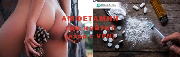 крисы Аркадак
