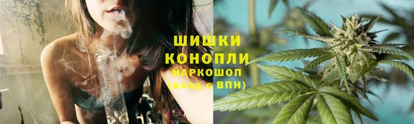 трава Арсеньев