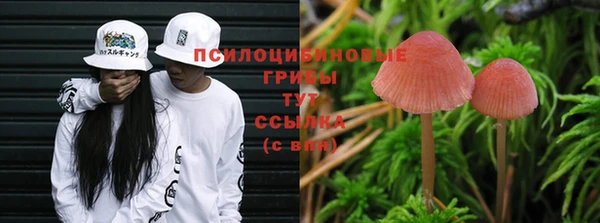 ALPHA PVP Армянск