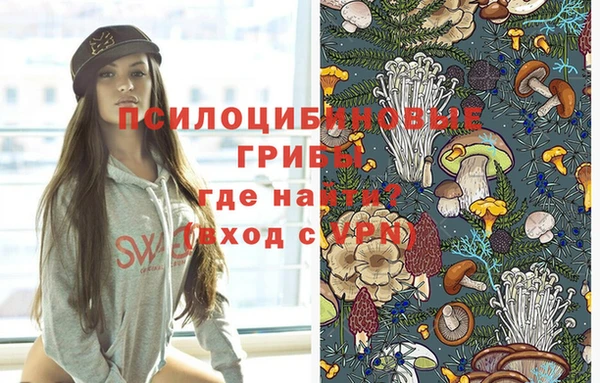 ALPHA PVP Армянск