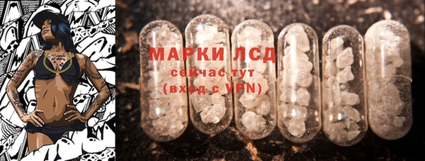 крисы Аркадак