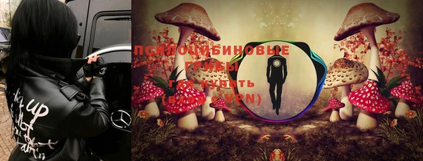 ешки Алексин