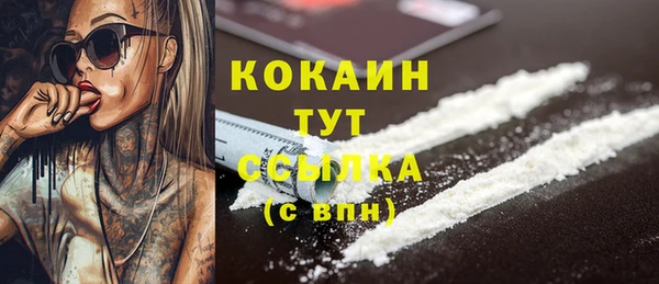 трава Арсеньев