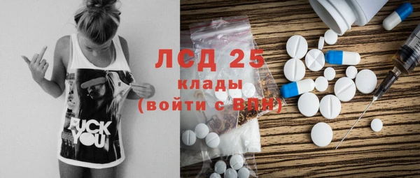 крисы Аркадак