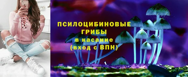 трава Арсеньев